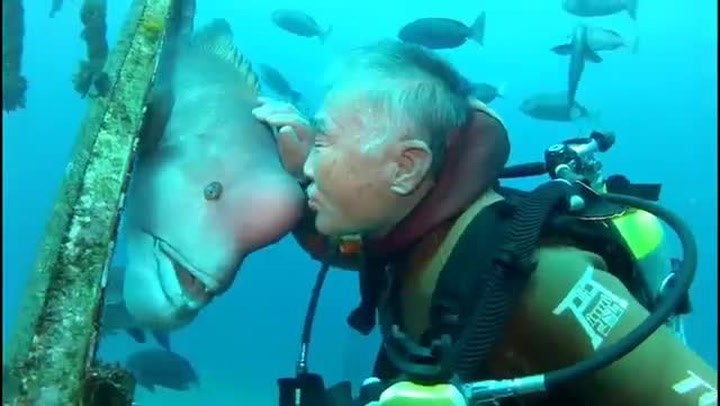 Tahle divná ryba miluje svého potápěče. Neuvěříte, co dělá už 25 let!