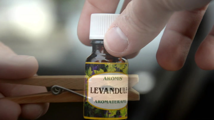 Kupovaná vůně do auta? Na co? Vyrobte si svoji, bude vás stát dvě vteřiny a tři koruny!