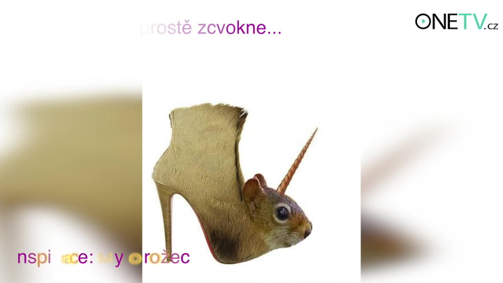 Když se návrháři zblázní: 12 nejšílenějších párů bot, co jste kdy mohli vidět!