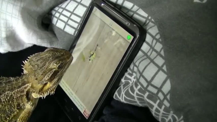 Líže a nikam to nevede! Pánové, tenhle ještěr je na tom ještě hůř než vy!