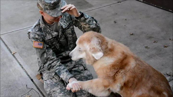 Starý pes dojemně vítá paničku, která se vrátila z vojenské služby!