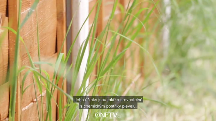 Zahradnické tipy, které využijete i na městském balkoně. Už nikdy nevylijete vodu od zeleniny!