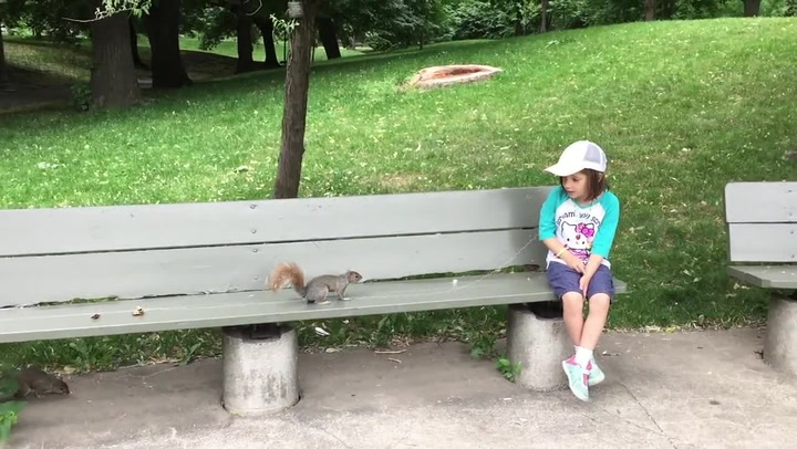 Dcera se bála trhání zubu, nejlepší tatínek pro ni udělal neuvěřitelnou věc! Zapojil veverky v parku….