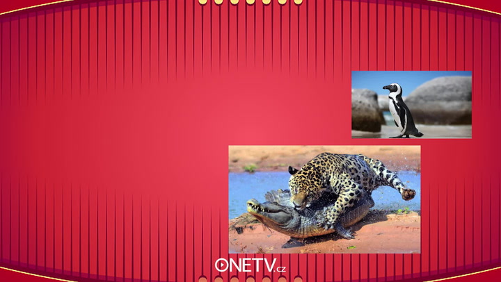 Jak je na tom vaše paměť? Pokud tento test nezvládnete, máte opravdu problém!