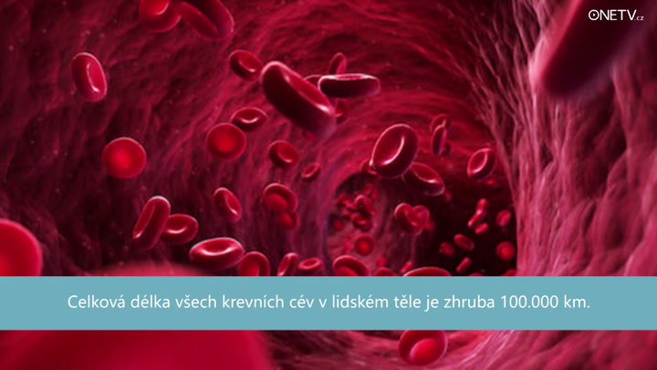 TO VÁS DOSTANE: 10 šokujících faktů, které jste o lidském těle VÁŽNĚ nevěděli!