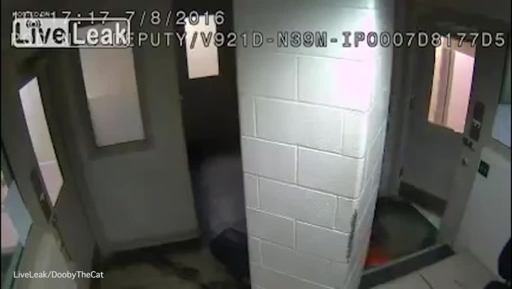 Tomu neuvěříte! Vězni nezištně pomohli dozorci, kterého napadl jejich spoluvězeň