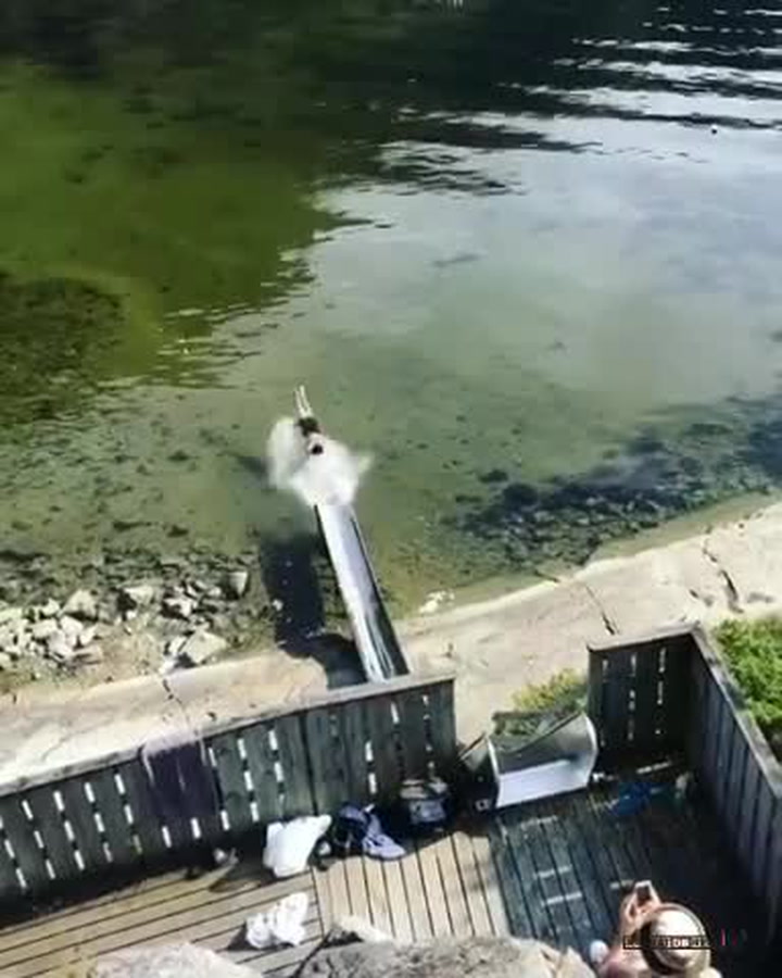 Neuvěřitelný skok nebo FAKE? Internet se u tohoto videa ne a ne shodnout!