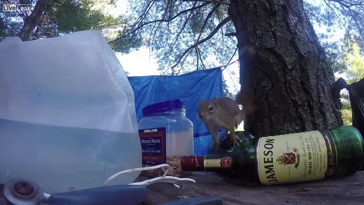 Chlapíkovi mizely oříšky ze zavřené sklenice, obviňoval kamarády. Kamera ale ukázal pravého viníka!