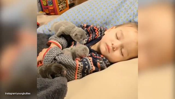 Tohle video se stalo HITEM INTERNETU! Spící dítko se štěňaty vás zaručeně rozněžní