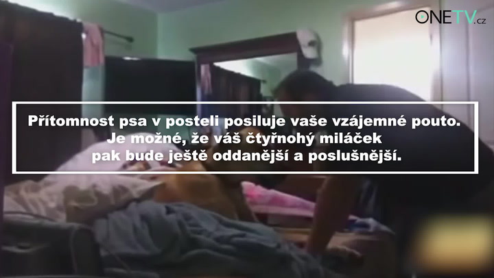 Proč nechat psa spát ve své posteli? Tady je 7 dobrých důvodů!