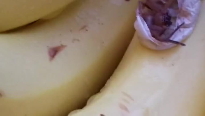 Když doma vybalili banány ze supermarketu, čekalo je drsné překvapení!