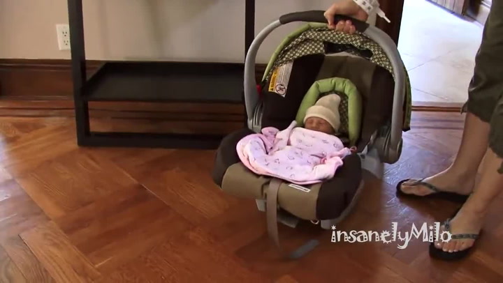 Nikdo nevěděl, jak bude pes reagovat na nového člena rodiny. Nakonec dostane i vás!