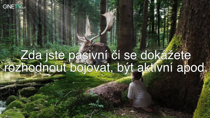 Test, který vám během chvilky pomůže vyjasnit vaše vztahy s okolím! Zkuste to!