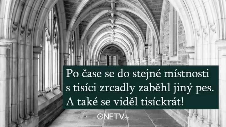 Hledáte štěstí? Tak si tuhle radu vezměte k srdci!