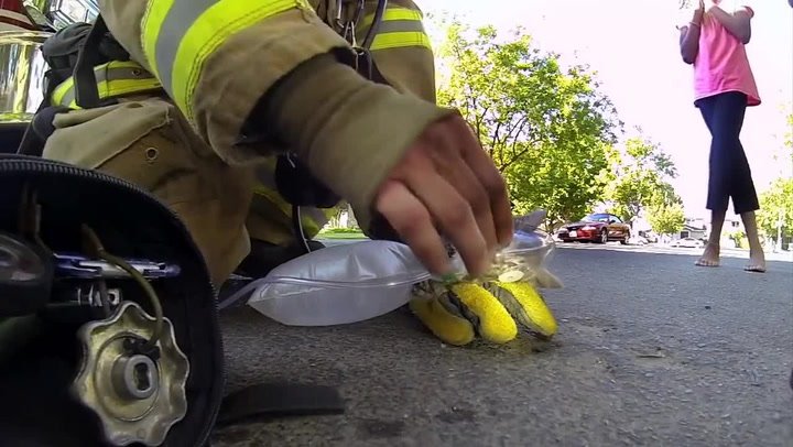 Krásné video! Hasič z hořícího domu vytáhl koťátko v bezvědomí a pak udělal něco úžasného