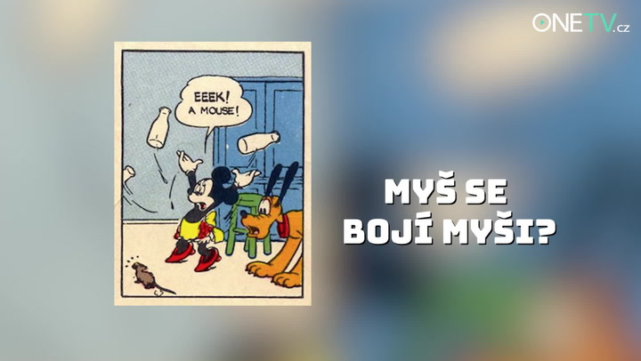 Všimli jste si? V oblíbených animovaných seriálech najdete hodně absurdních situací!