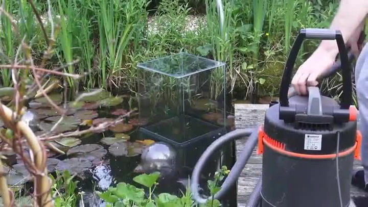 Neuvěřitelné! Chtěl udělat radost svým rybám, v jezírku jim zbudoval vyhlídkové akvárium!