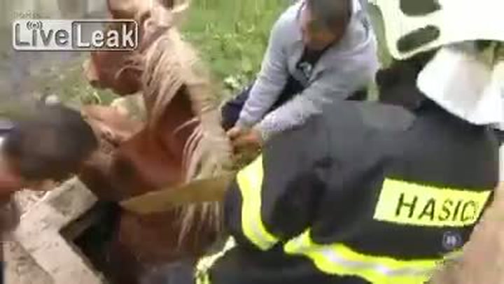 Přežil kůň svou záchranu? Podívejte se, jak dopadl poslední pokus o jeho vyproštění