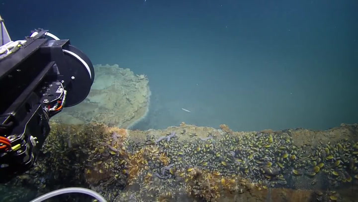 Vědci objevili toxické jezero na dně oceánu. Vše, co pohltí, okamžitě umírá!