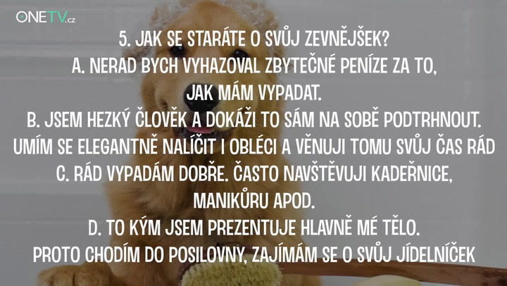 Testujeme: Jaké psí plemeno byste bývali byli?