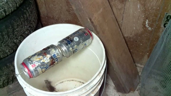 Na nejlepší past na myši potřebujete jen dvě plechovky a drát. A rozjede se show!