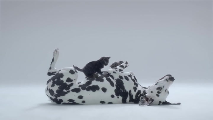 Nejroztomilejší reklama na světě má hodně vážný podtext. Varuje proti smrtící nemoci