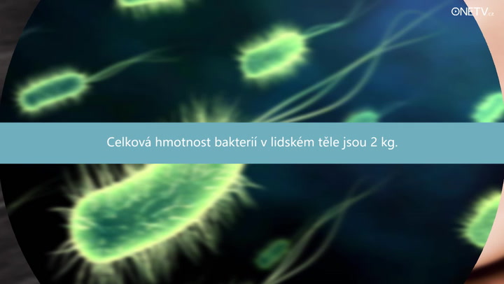Věděli jste, že nejsilnější sval v těle je jazyk? Nenechte si ujít i další zajímavosti!