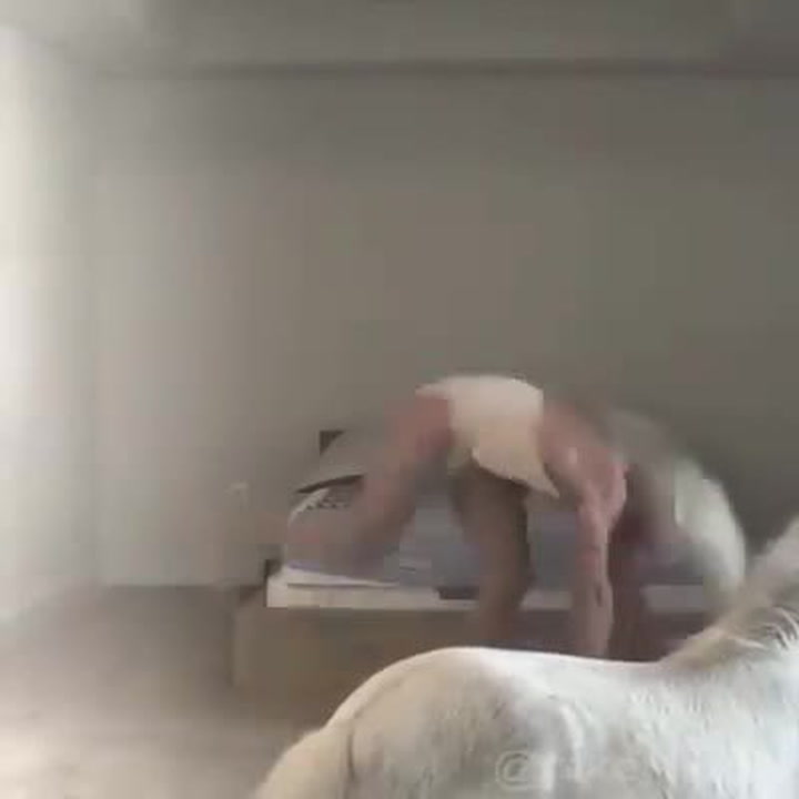 Naše oči! Větší bizár než tenhle tanec dnes neuvidíte