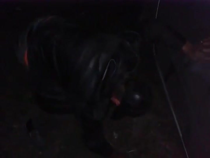 Tohle je klasické Rusko. Namol opilý muž nemohl ani chodit, přesto sedl za volant