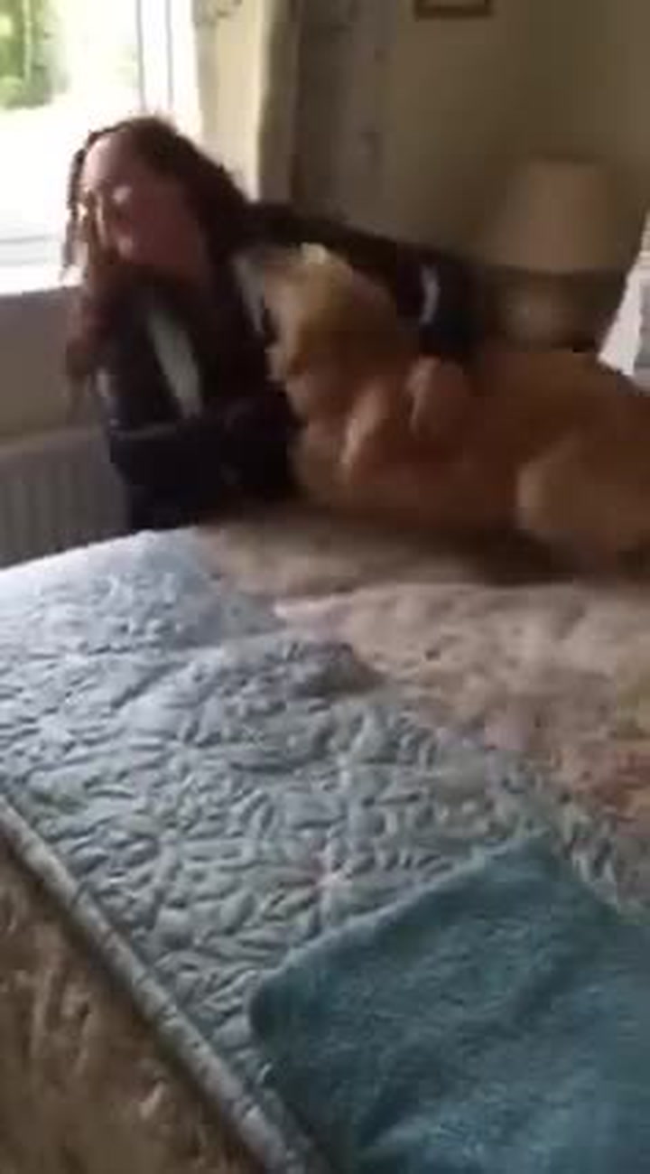 Krásné shledání! Paničku neviděl sedm měsíců, radostí se tenhle pejsek mohl zbláznit