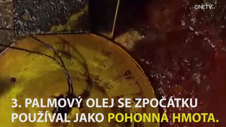6 alarmujících věcí, které jste netušili o palmovém oleji!