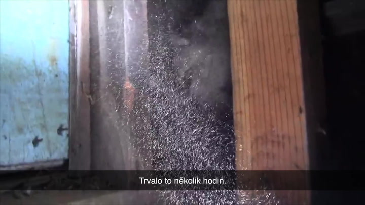 Příběh pudlíka žijícího ve sklepě rozbořeného domu vás dojme k slzám