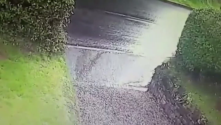 Procházka se psy se pro tuhle mámu změnila v peklo. Stačilo, aby zavětřili