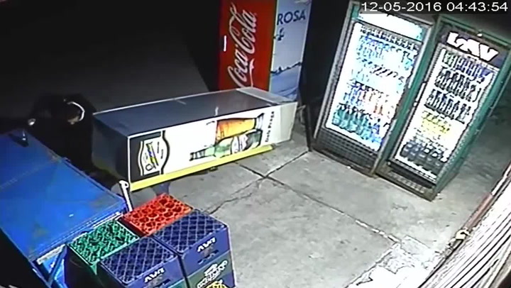 Namol opilý zloděj chtěl násilím ukrást pivo z lednice, ta se mu drsně pomstila!