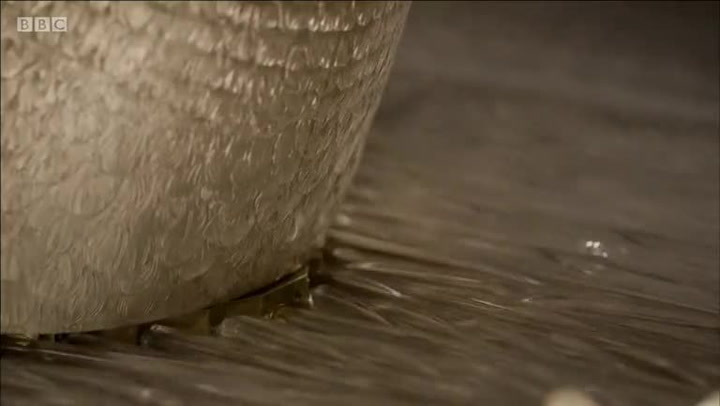 Mechanická stříbrná labuť je stará stovky let. Když se hýbe, je to neskutečná nádhera