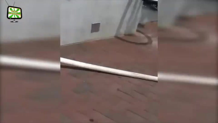 Děláte si taky legraci z Chucka Norrise? Tak pozor, abyste nedopadli takhle!