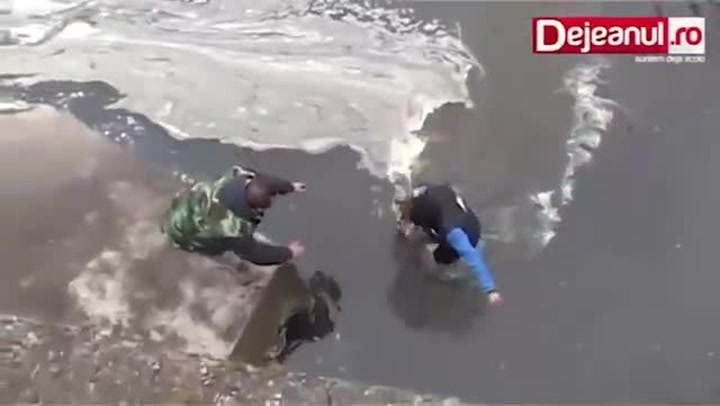 Když tohoto pejska zachránili od jisté smrti, neuvěřitelně se jim odvděčil!