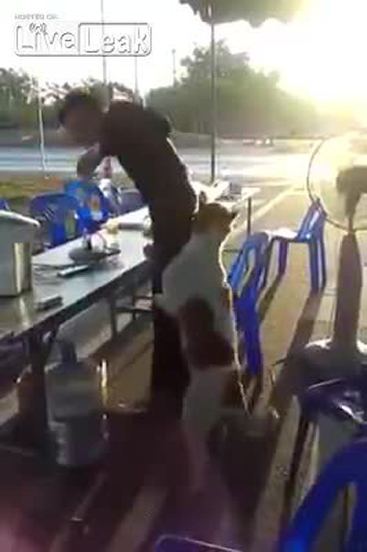Tenhle pes má policisty fakt rád. Podívejte se na video a pochopíte