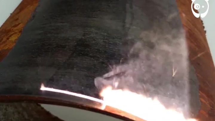 Nejdokonalejší pohled na světě! Na tohle video budete chtít koukat po zbytek života