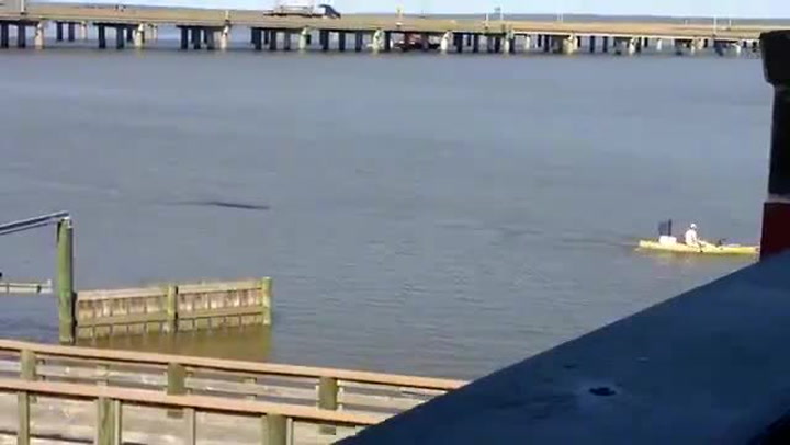 Když se za tímhle kajakářem objevila nenápadná stopa ve vodě, už věděl, že je ve smrtelném nebezpečí