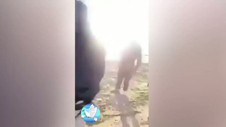 To je hrdina! Zajatý bojovník ISIS brečel jako malá holka
