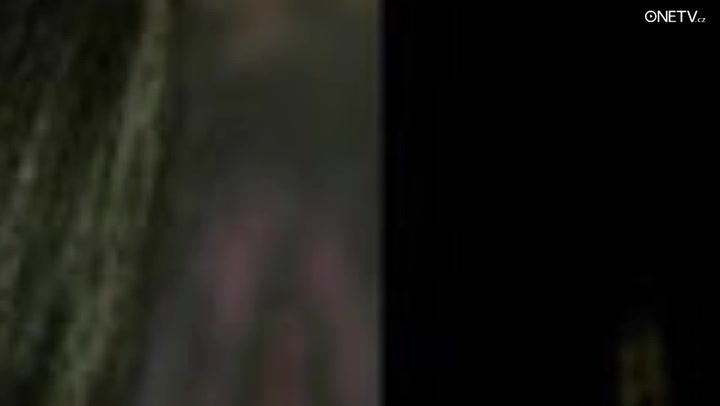 Čím se živily hvězdy, než se staly celebritami? Neuvěříte, z jakých povolání se vyškrábaly na vrchol!