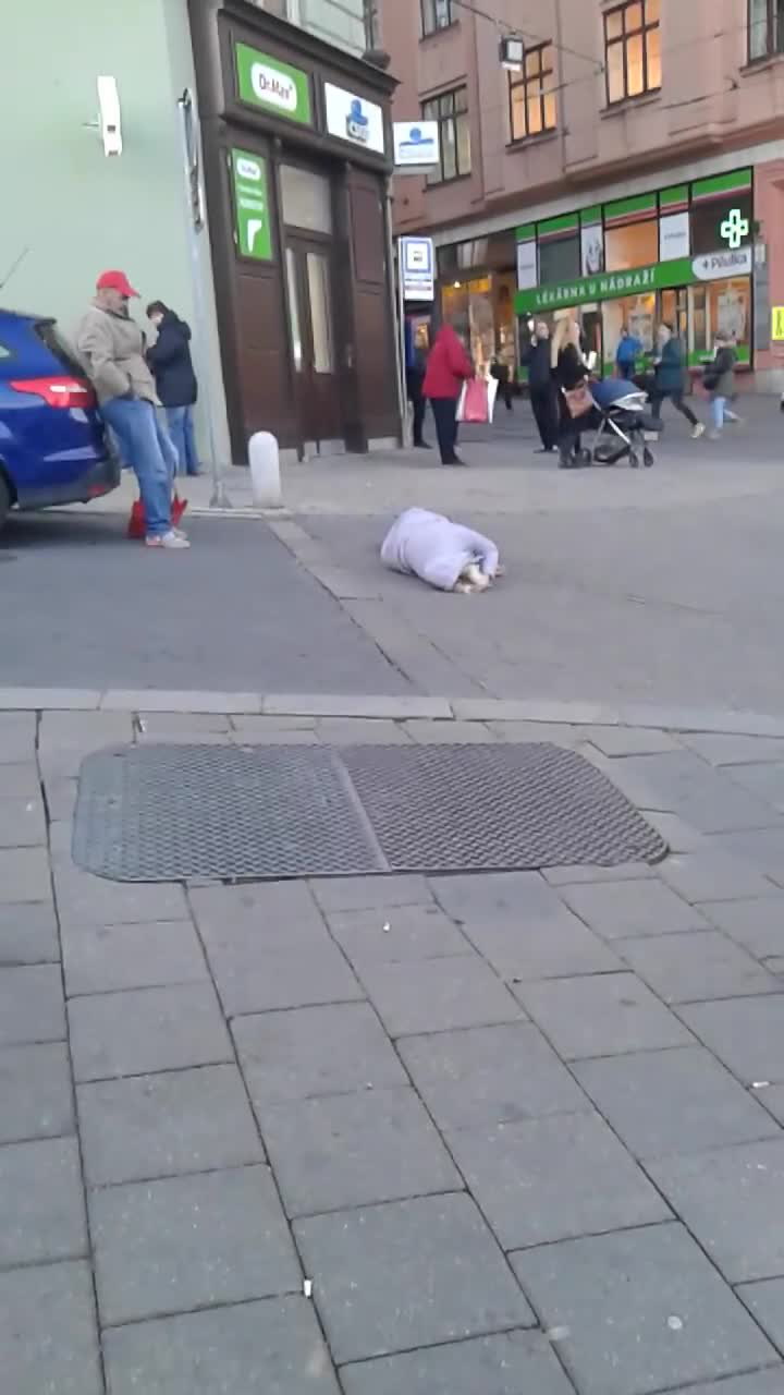 To se může stát jen v Brně. Před hlavním nádražím se odehrála nechutná scéna