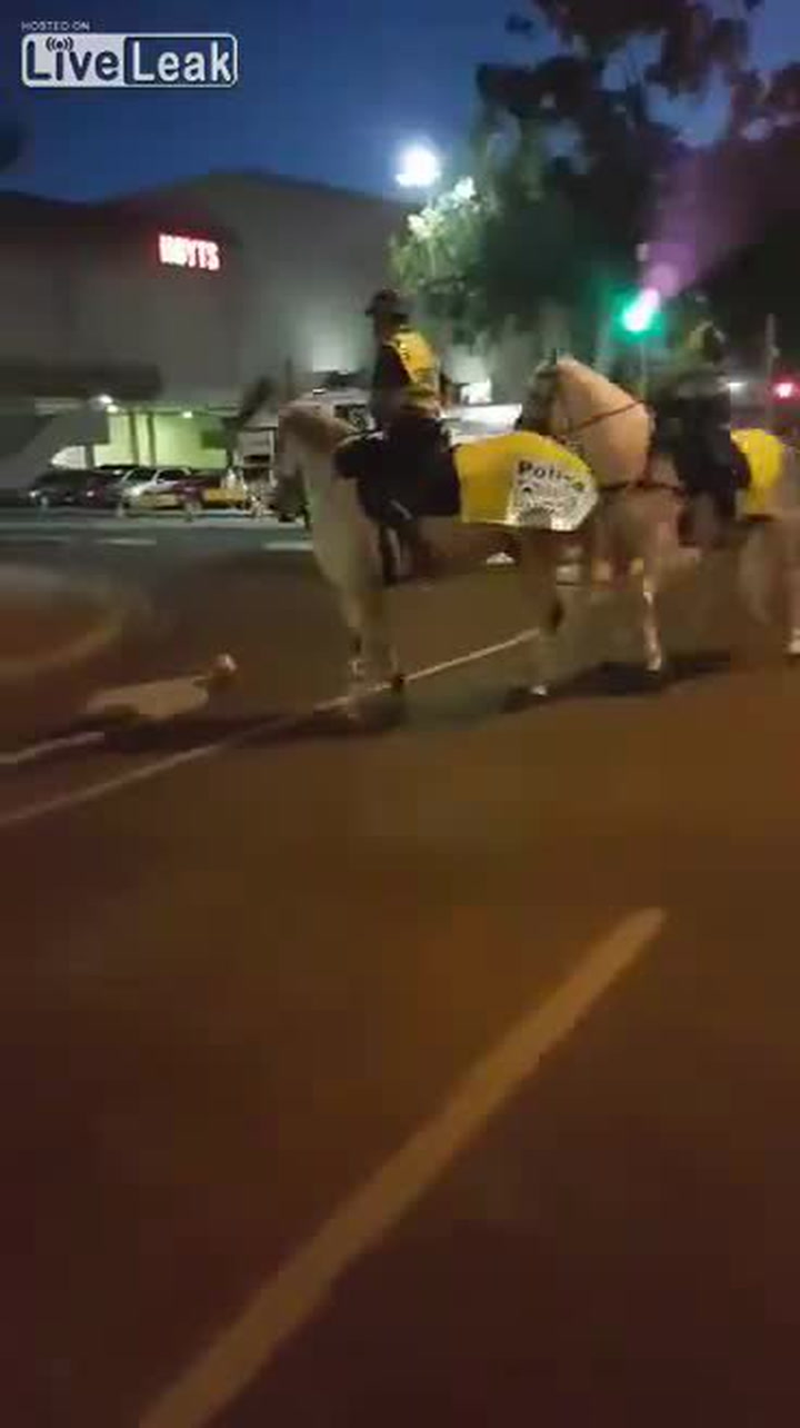 Tohle je důkaz, že i policisté mají smysl pro humor! Podívejte se, co předváděli na koních