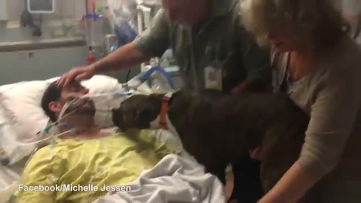 Hodně smutné video. Tenhle pejsek se přišel do nemocnice rozloučit s umírajícím páníčkem