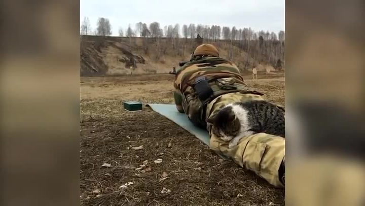 KOČKA DRSŇÁK! Zatímco její páníček střílí na střelnici, spokojeně na něm odpočívá!
