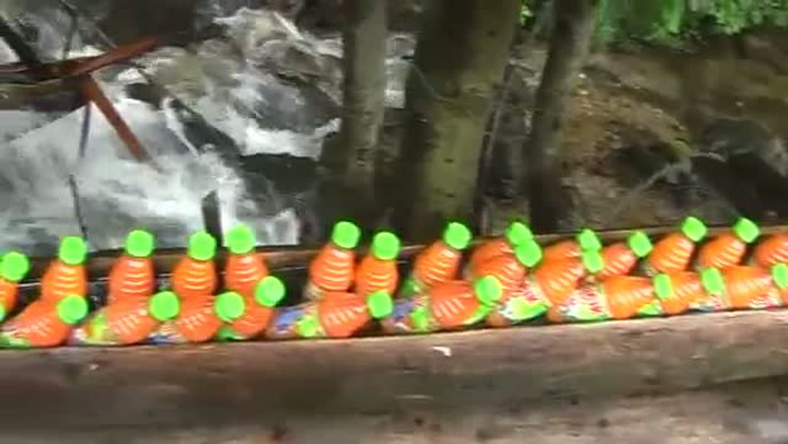 Tohle místo je ráj pro každého Čecha! Neuvěříte, co najdete uprostřed tohoto lesa