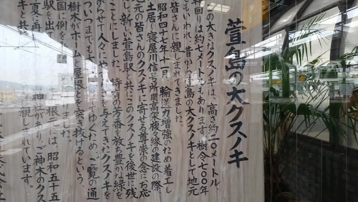 V Japonsku je vlaková stanice postavená kolem 700 let starého stromu. Má to bizarní důvod!