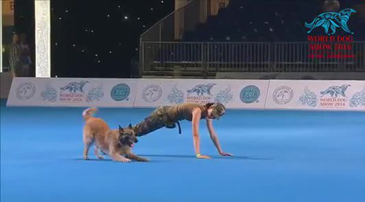Komisař Rex se vrátil! Krásná panička předvedla se svým ovčákem dechberoucí show!