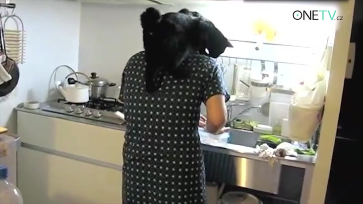 Kočky jednoho dne ovládnou svět. Tohle video je jasný důkaz jejich odporné manipulace